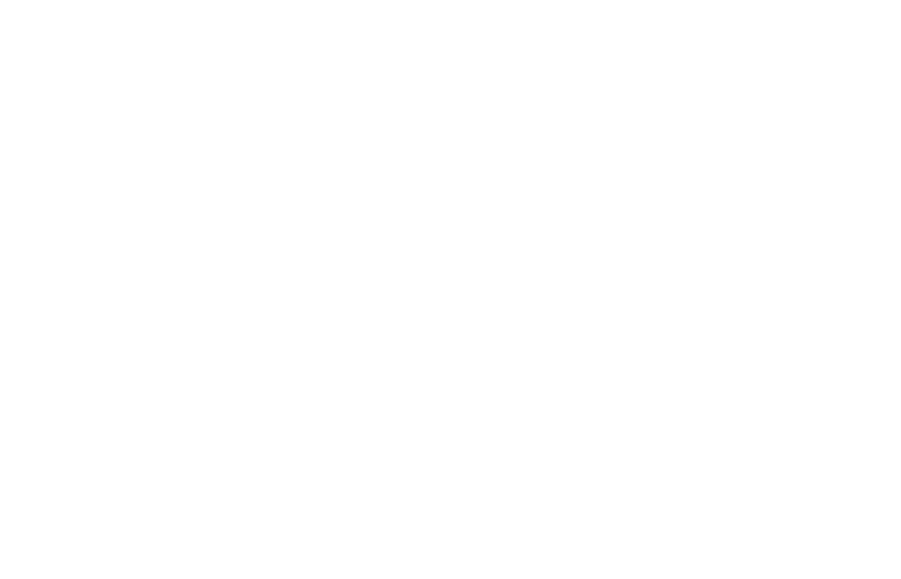 FACTOR GLOBAL GFC