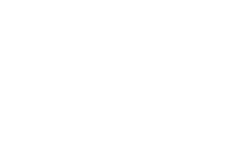RIPIPSA