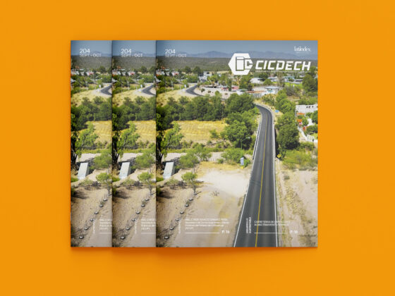 Revista CICDECH 204