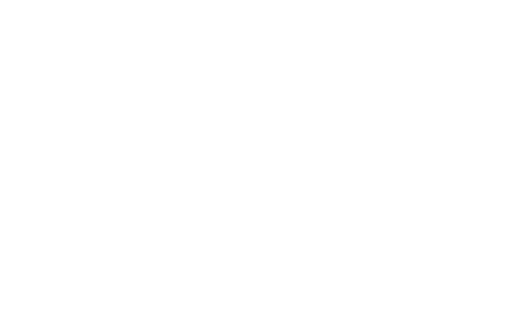 TIRRRA Y COLOR