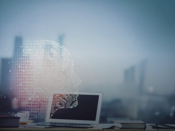 Boletín Noviembre 2025