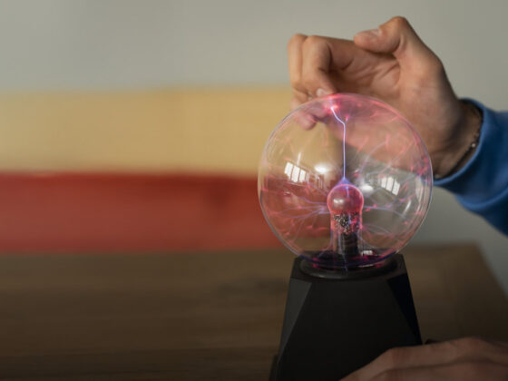 Boletín Febrero 2026