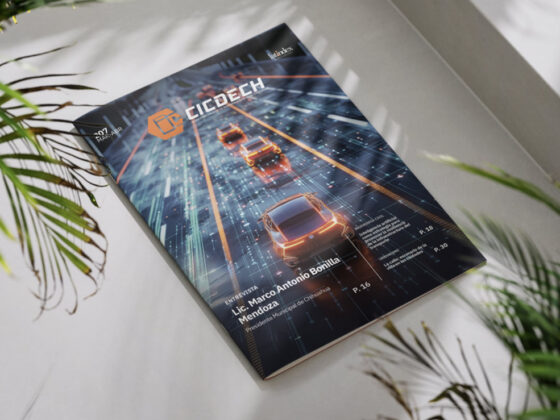 Revista CICDECH 207
