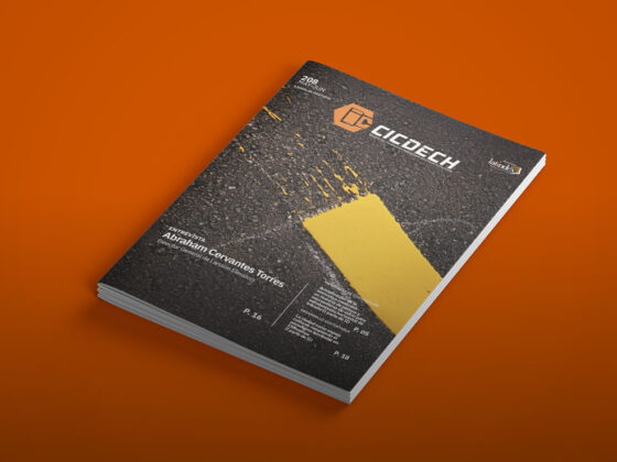 Revista CICDECH 208